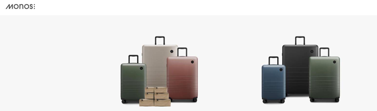 Leather Luggage